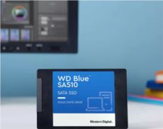 WESTERN DIGITAL Blue SA510 SATA SSD 2.5 inç 7 mm kasalı 500GB