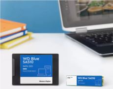 WESTERN DIGITAL Blue SA510 SATA SSD 2.5 inç 7 mm kasalı 500GB